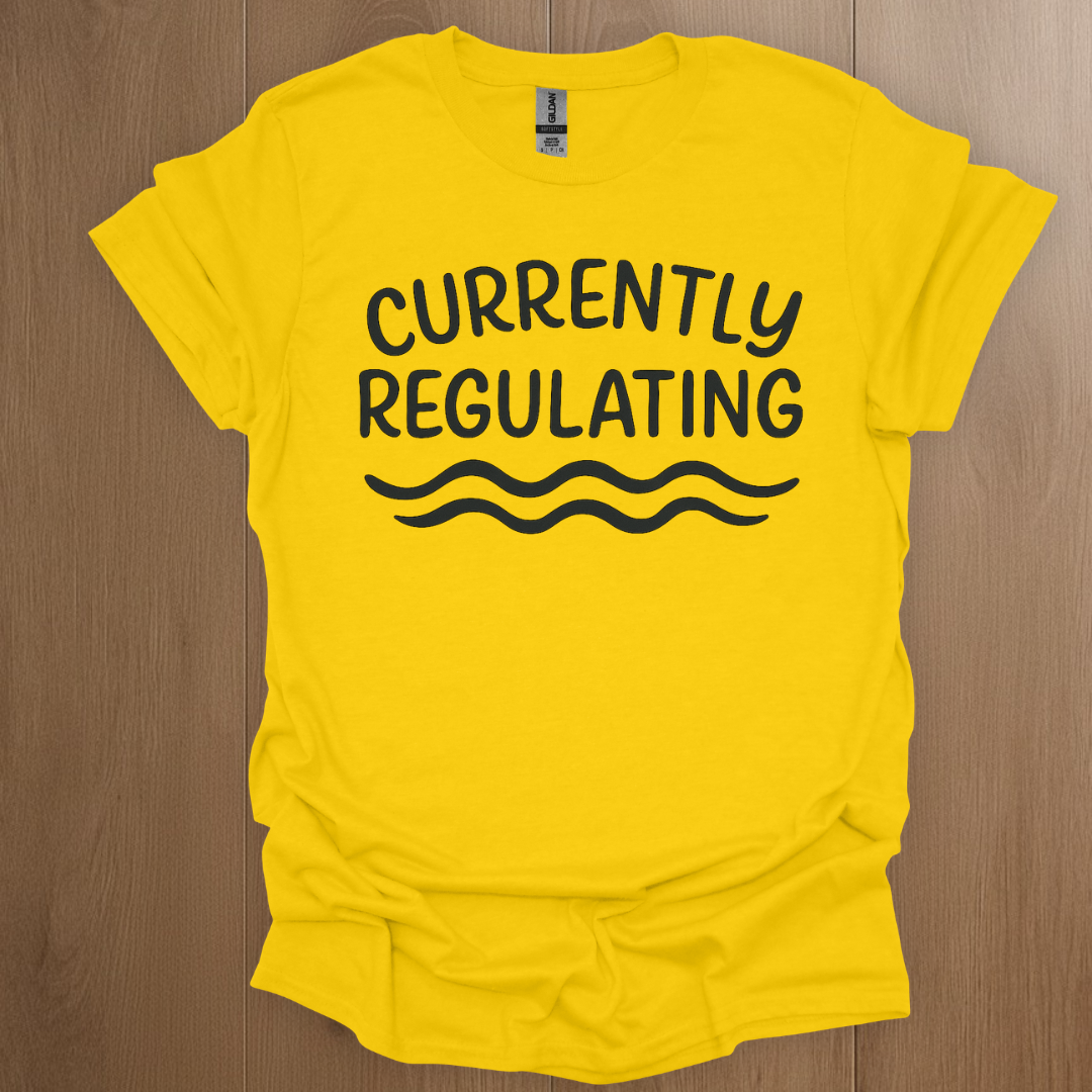 Currently Regulating T-shirt | Mental Health Tee - ADHD Pride T-Shirt - Lifestyle Photo