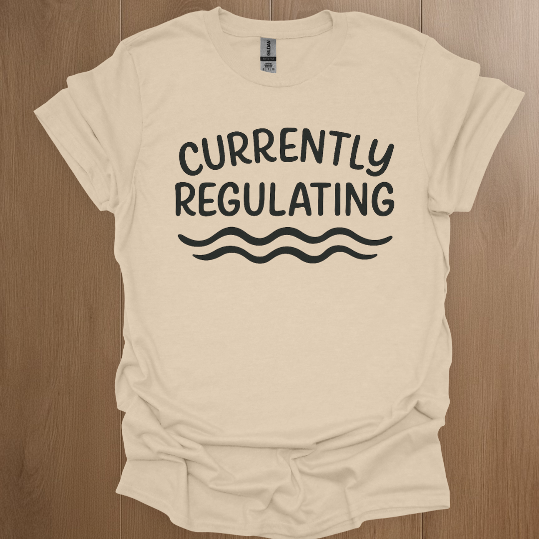 Currently Regulating T-shirt | Mental Health Tee - ADHD Pride T-Shirt - Front View